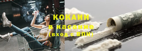 Альфа ПВП Лагань