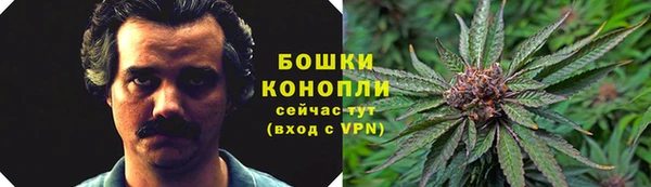 Альфа ПВП Лагань