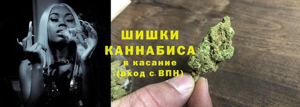 Альфа ПВП Лагань
