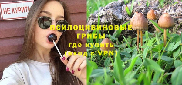 соль ск Ладушкин