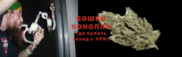соль ск Ладушкин