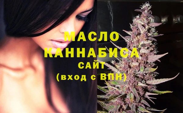 Альфа ПВП Лагань