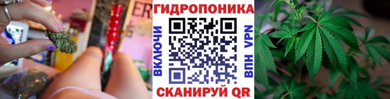 Марихуана сатива  Купить где  Дыгулыбгей 